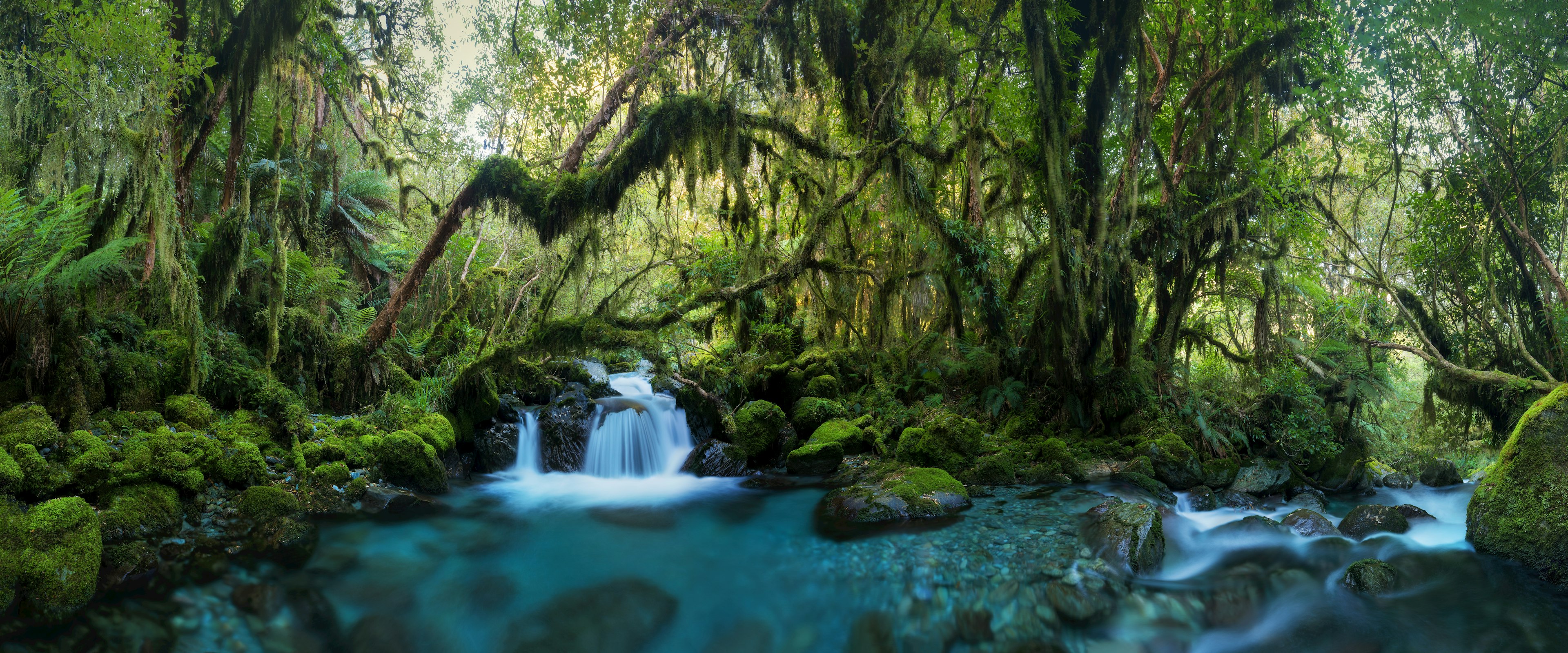 NZ landscape and water stock image